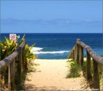 sim-0810beach[1].jpg