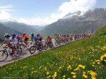 swiss1024x768.jpg