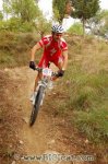 DSC_0173_bicicat.JPG