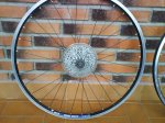 DSC01535.jpg