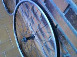 DSC01541.jpg