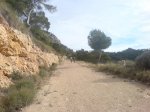 DSC00800.jpg