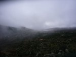 Foto3.JPG