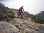 Foto4.JPG