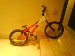 DSC00217.jpg
