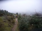 Foto13.JPG