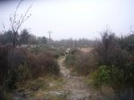 Foto17.JPG