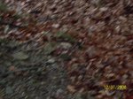 100_0813.jpg