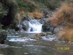 100_0817.jpg
