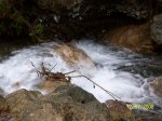 100_0820.jpg