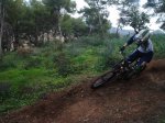 DSC07259.jpg
