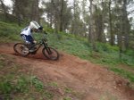 DSC07274.jpg