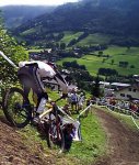 taillefer.jpg