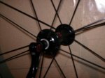 bont2.JPG