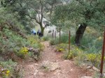 m_DSC00910.JPG