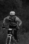 hivernal 2008 final.jpg