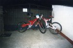 img007.jpg