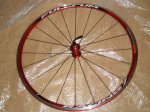 PC080003_800x600.jpg