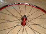 PC080004_800x600.jpg