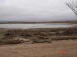 DSC06586.JPG