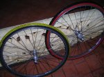 RUEDAS AMBROSIO Y RIGIDA 004.jpg