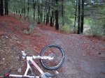 100_1378.JPG
