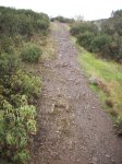 100_1428.JPG