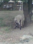 Imagen057.jpg