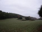 IMG_8145.JPG