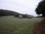 IMG_8146.JPG