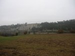 IMG_8157.JPG