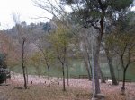 IMG_8167.JPG
