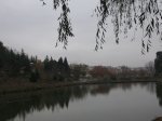 IMG_8170.JPG
