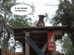 Rampage Dog Thinking.jpg