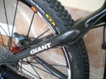 giant 002.jpg