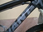 giant 004.jpg