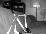 P1000590.JPG