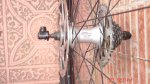 DSC01169.jpg