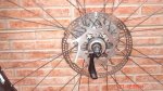 DSC01170.jpg