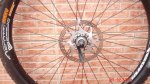 DSC01172.jpg