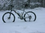 nevada zaldiaran 23_mar_08_01.JPG