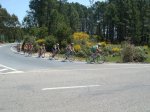 DSC02148.jpg