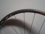 DSC04010.JPG