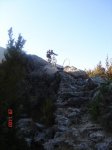 DSC01596.jpg