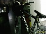 PIC_0005.jpg