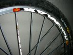 DSCN2425.jpg