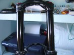DSC07905.JPG