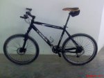 orbea.jpg