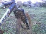 DSC00504.jpg