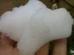 11122008144.jpg